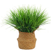 Herbe Artificielle