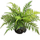 Fougères Artificielles