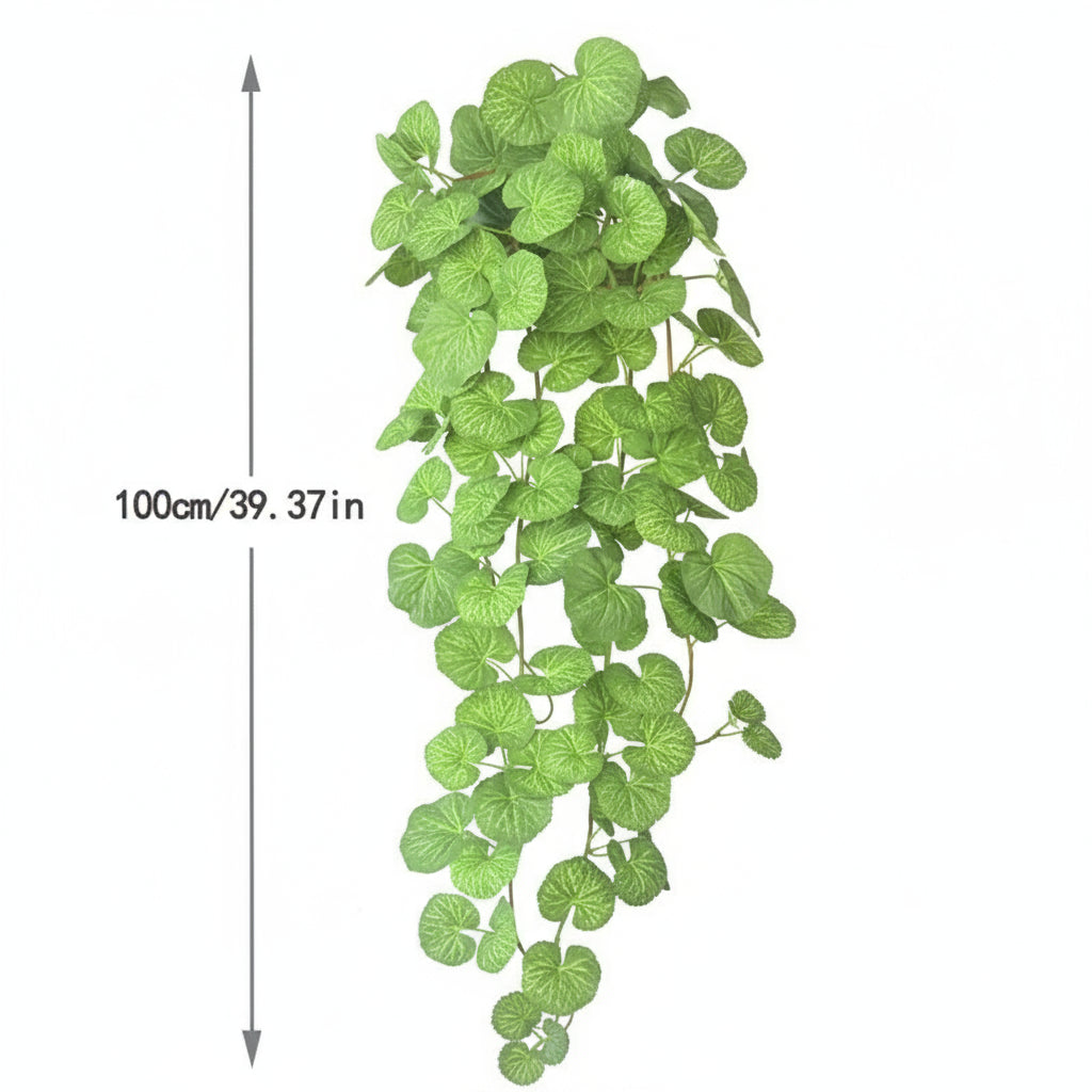 Dichondra Artificiel