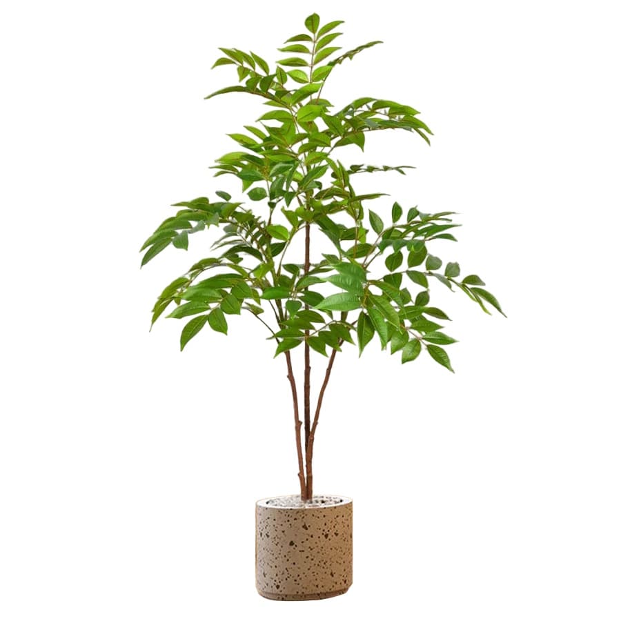 Ficus Artificiels | Artiflora