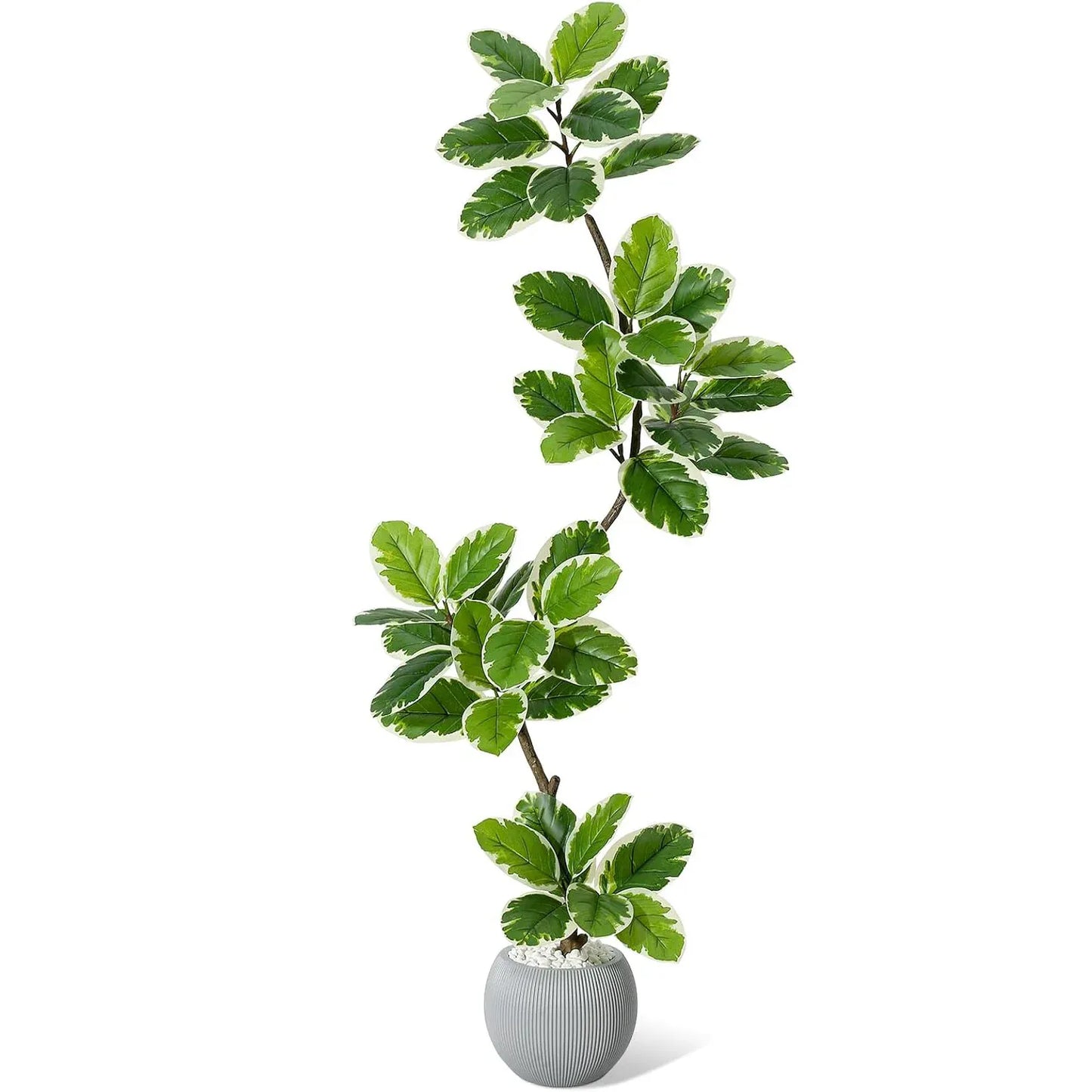 Ficus Elastica Artificiel | Artiflora 182 cm