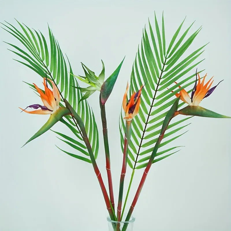 Oiseaux du paradis 3