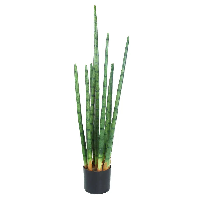 Sansevieria Cactus Artificiel | Artiflora