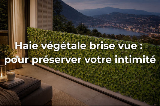 Haie végétale brise vue