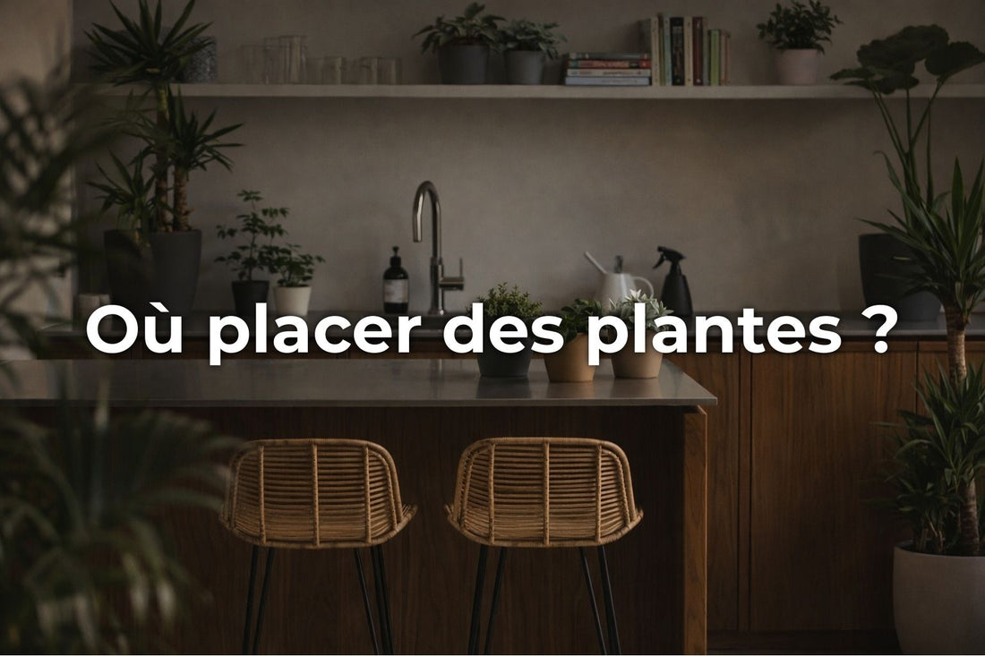 Où placer des plantes ?