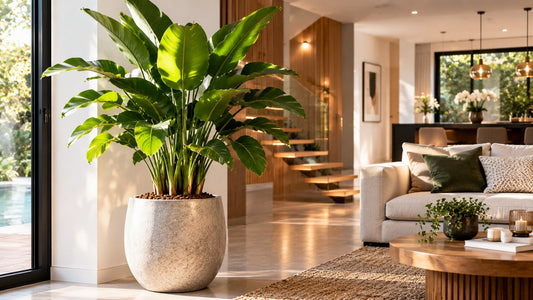 Plante artificielle réaliste : comment choisir un modèle qui fait illusion ?