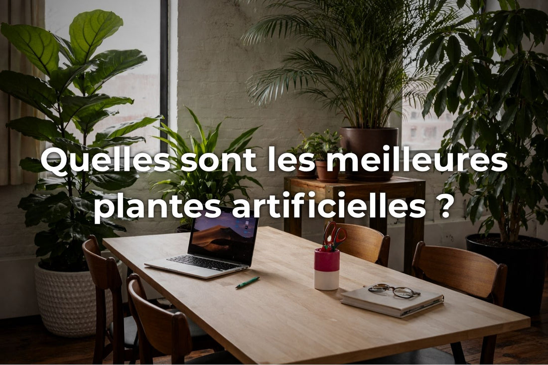Quelles sont les meilleures plantes artificielles