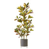 Ficus Artificiel