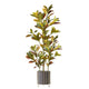 Ficus Artificiel