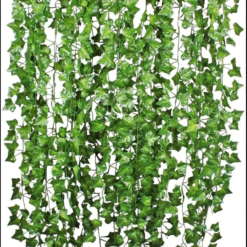 2,1 m de Lierre Retombant | Artiflora