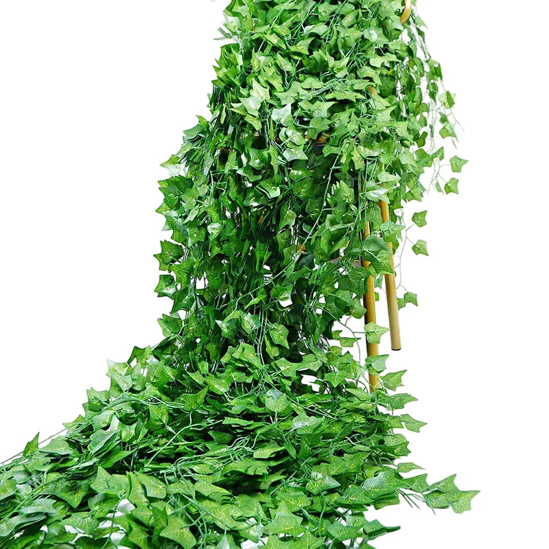 2,1 m de Lierre Retombant | Artiflora