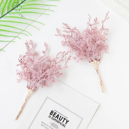6Pcs Fleurs Séchées | Artiflora