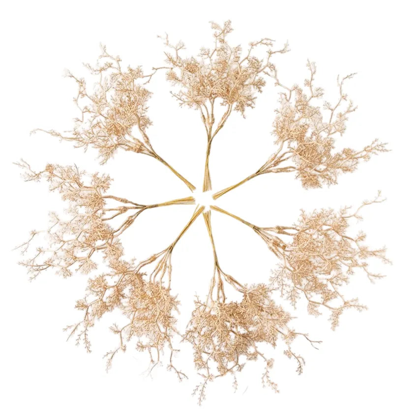 6Pcs Fleurs Séchées | Artiflora