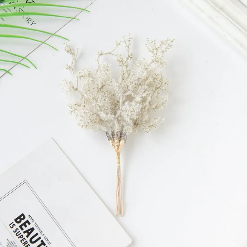 6Pcs Fleurs Séchées | Artiflora Beige
