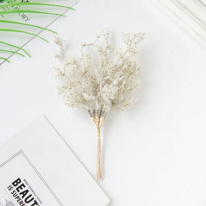 6Pcs Fleurs Séchées | Artiflora Beige