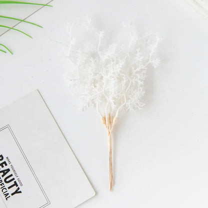 6Pcs Fleurs Séchées | Artiflora Blanc Cassé
