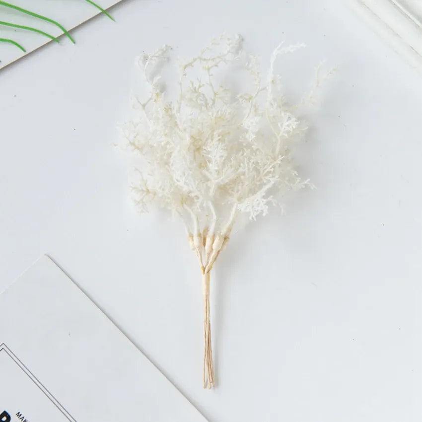 6Pcs Fleurs Séchées | Artiflora Jaune