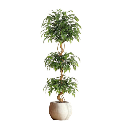 Ficus Tressé Artificiel