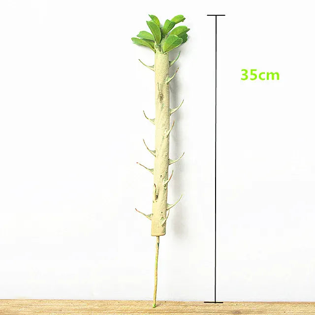 Euphorbia Cactus Artificiel | Artiflora 35 cm