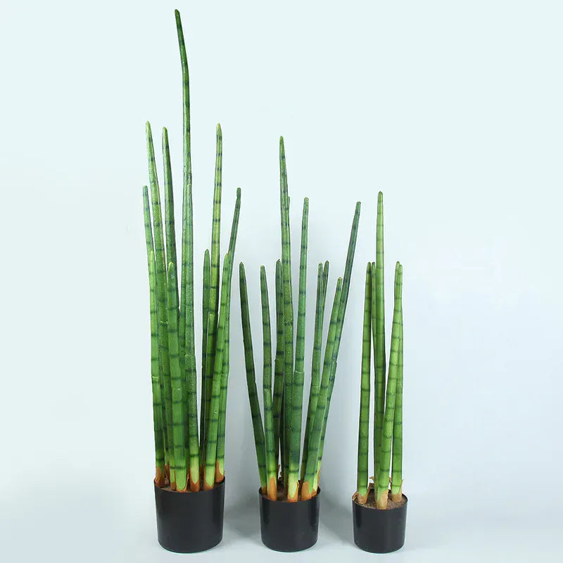 Sansevieria Cactus Artificiel | Artiflora