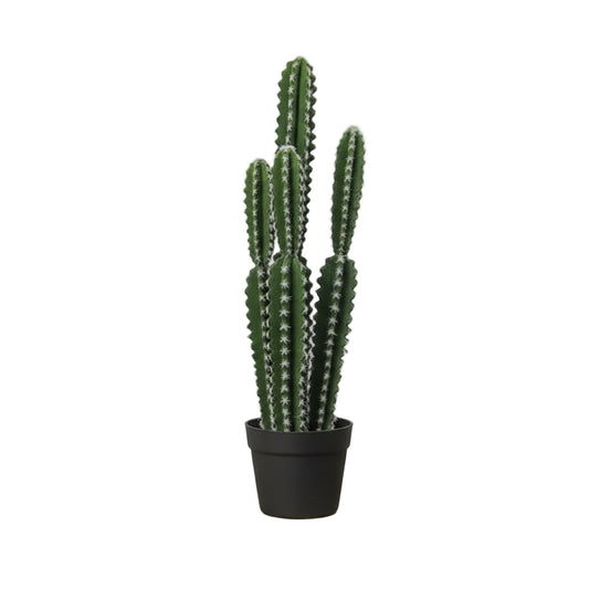 Euphorbia trigona Cactus Artificiel