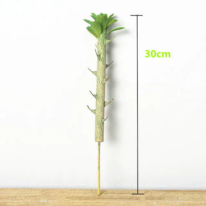 Euphorbia Cactus Artificiel | Artiflora 30 cm