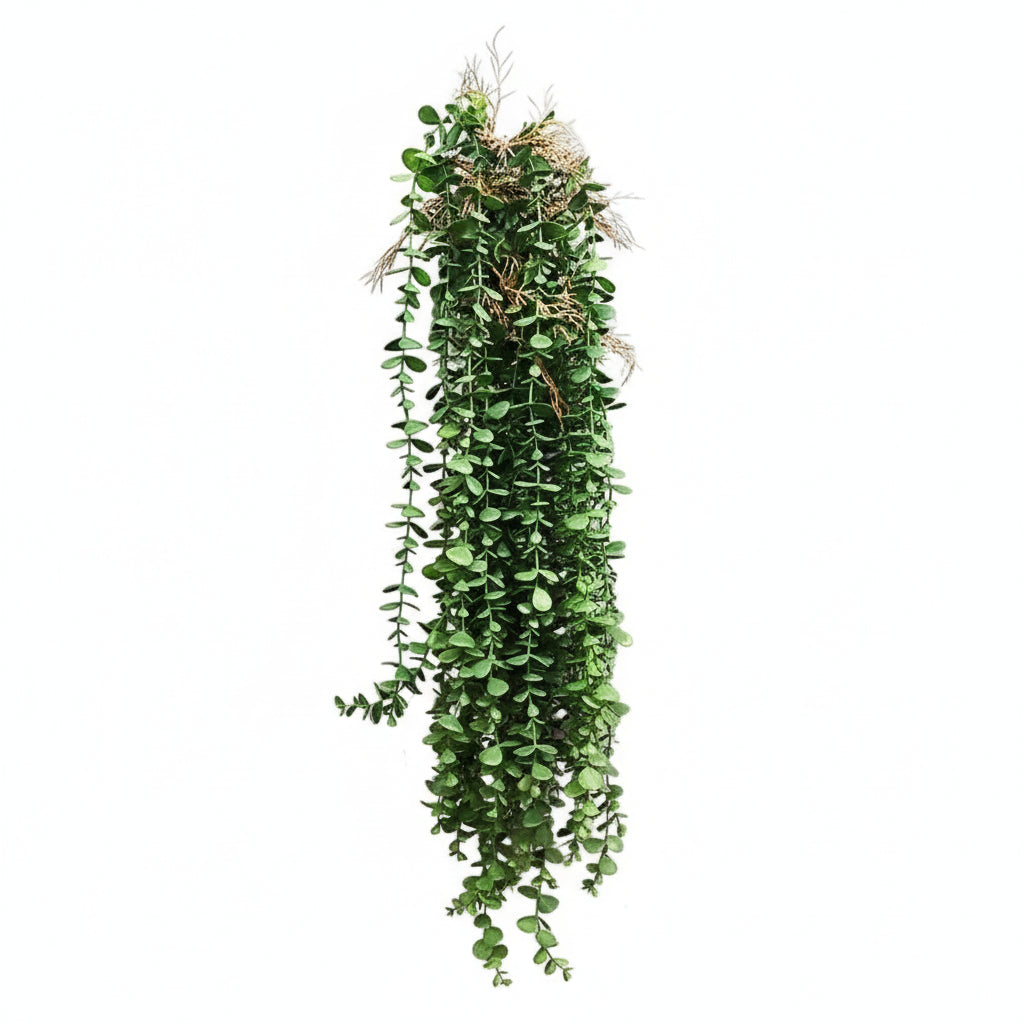 Plante d'Eucalyptus Artificiel retombante