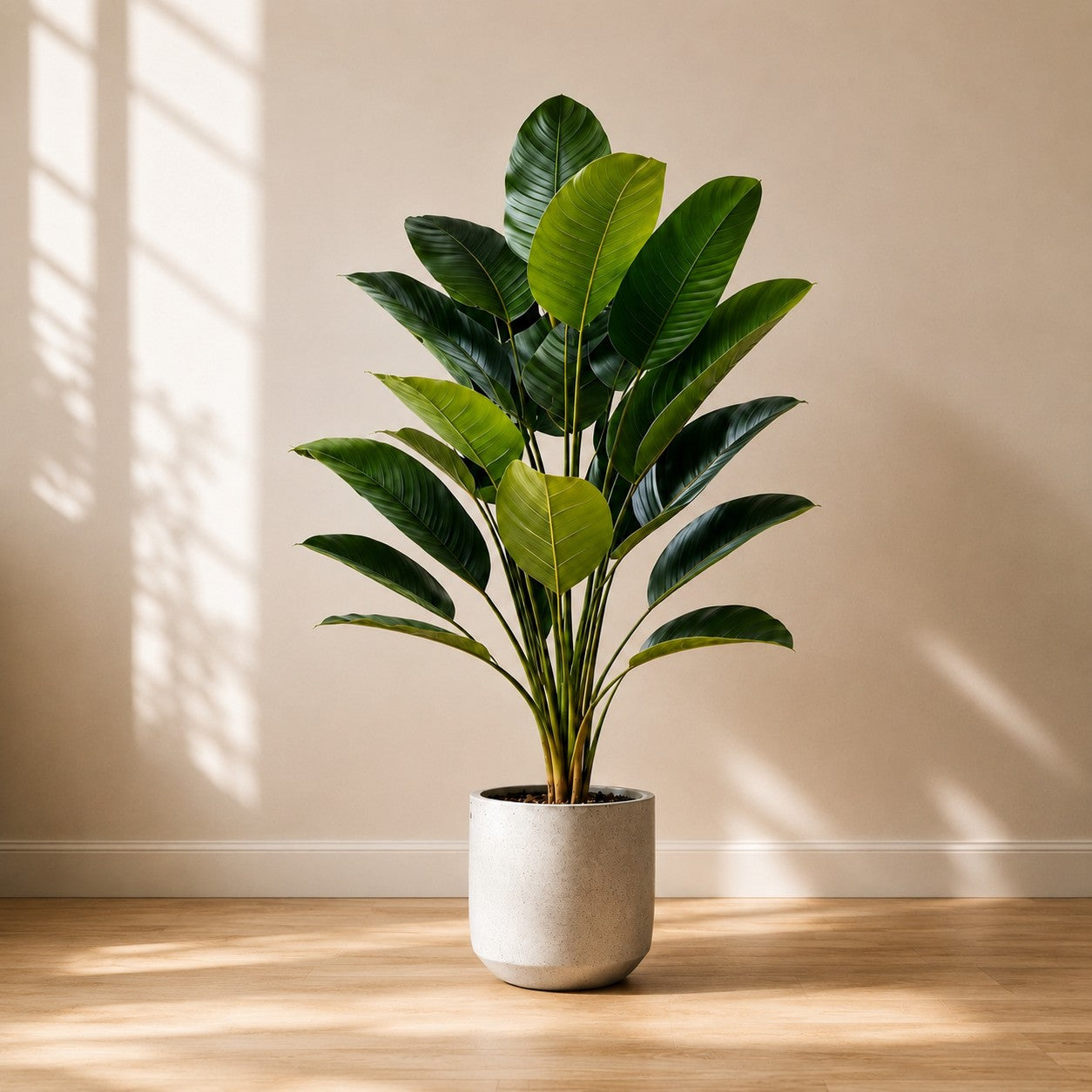 Lot de 3 Plantes Artificielles