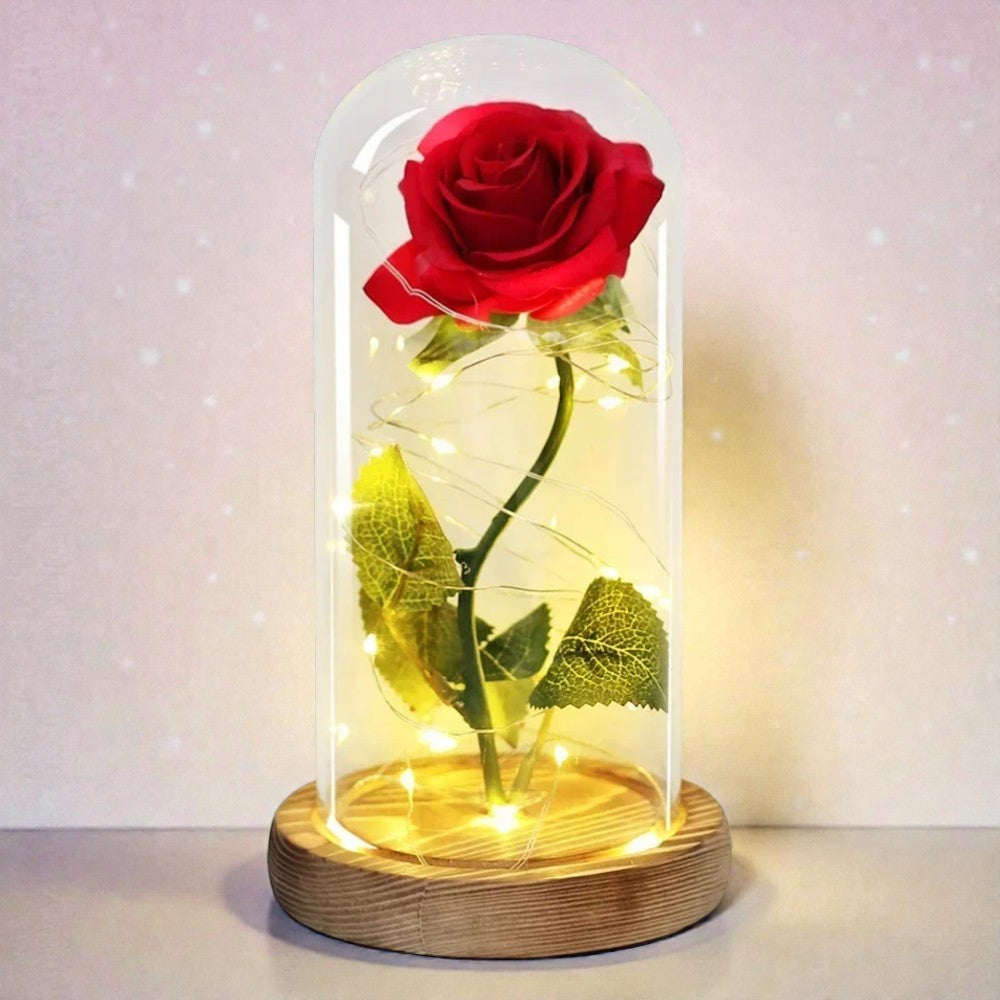 Rose Éternelle sous Cloche