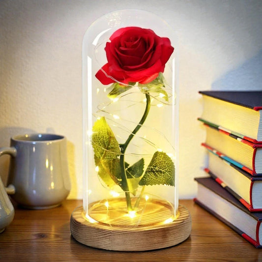 Rose Éternelle sous Cloche