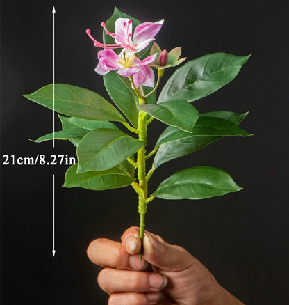 Bauhinia Artificielle