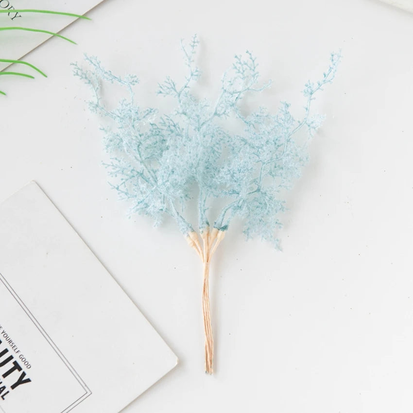 6Pcs Fleurs Séchées