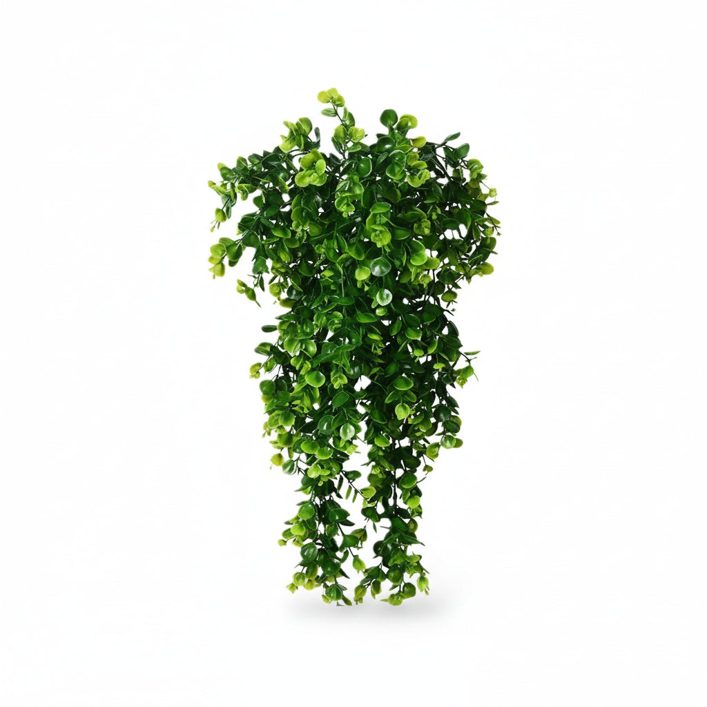 Eucalyptus Artificiel Suspendus