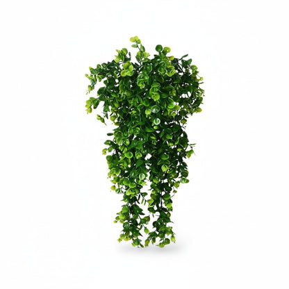 Eucalyptus Artificiel Suspendus