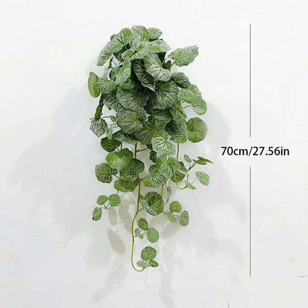 Dichondra Artificiel
