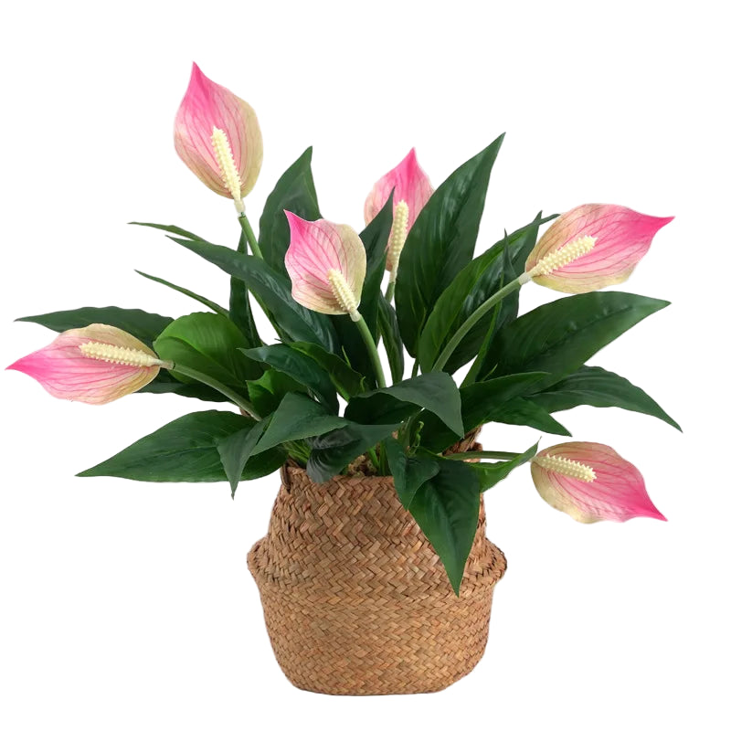 Monstera Artificiel en Fleur