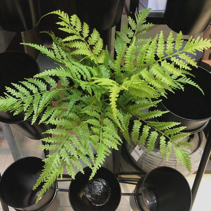 Fougères Verte Artificielles