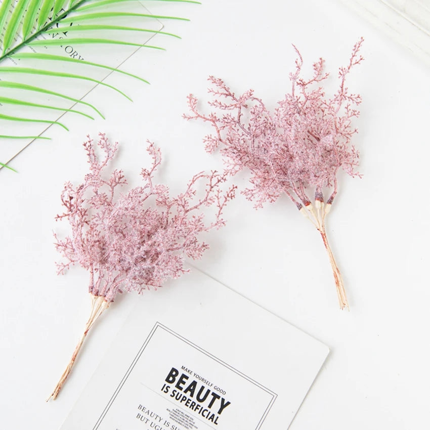 6Pcs Fleurs Séchées