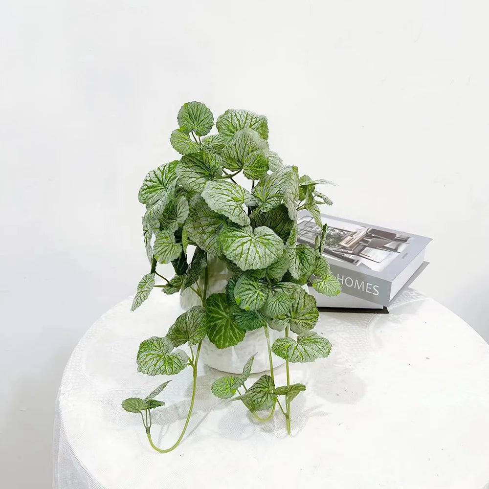 Dichondra Artificiel