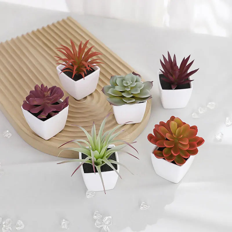 Lot de 6 Succulentes Artificielles