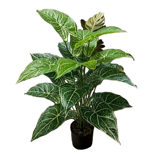 Alocasia Artificiel