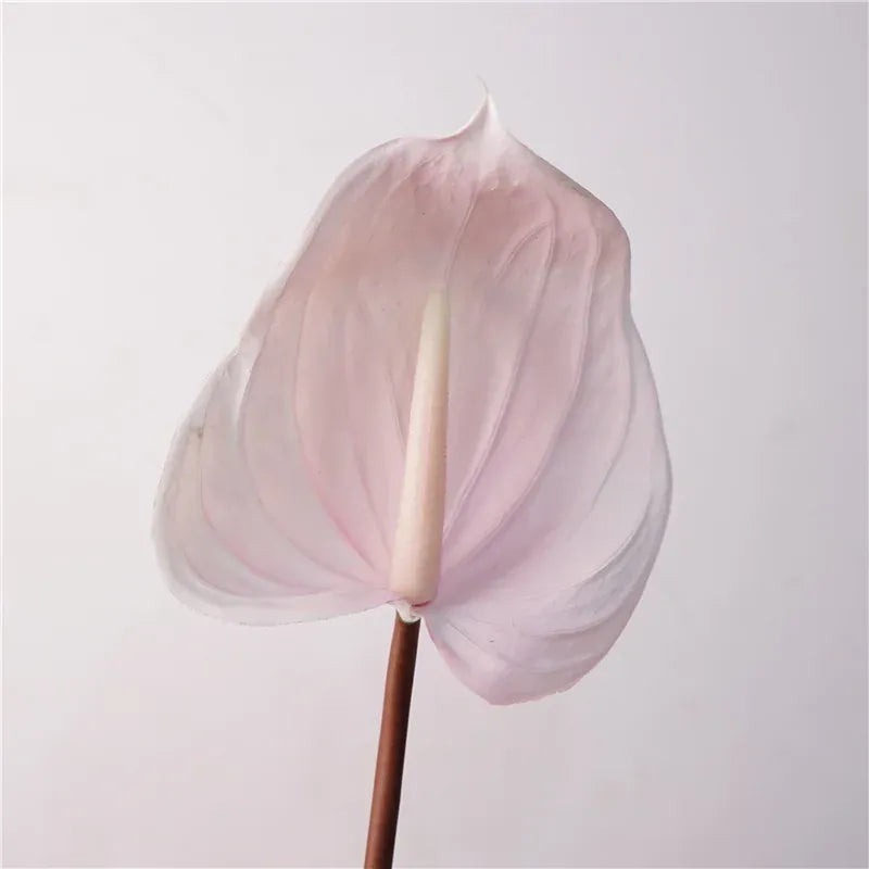 Anthurium Artificiel | Artiflora Rose / 5