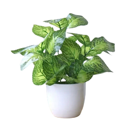 Dieffenbachia Artificielle
