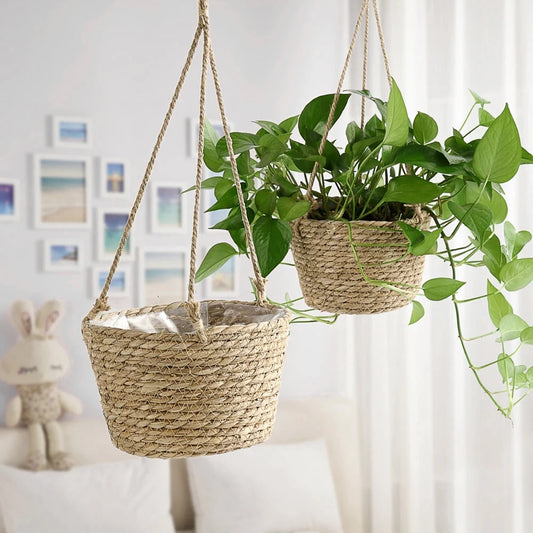Panier suspendu pour plante