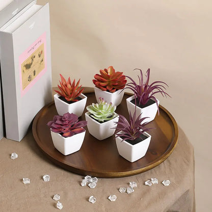 Lot de 6 Succulentes Artificielles
