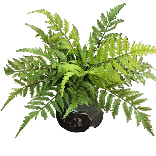 Fougères Verte Artificielles