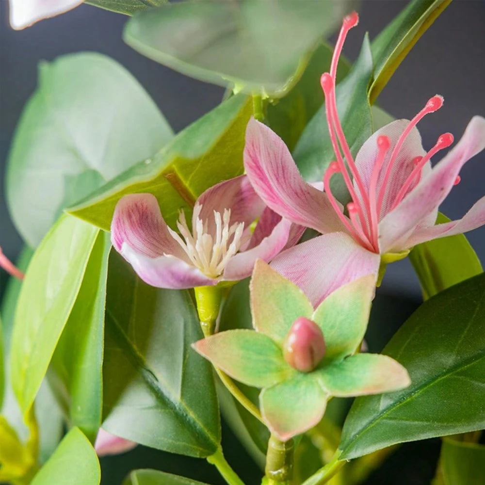 Bauhinia Artificielle