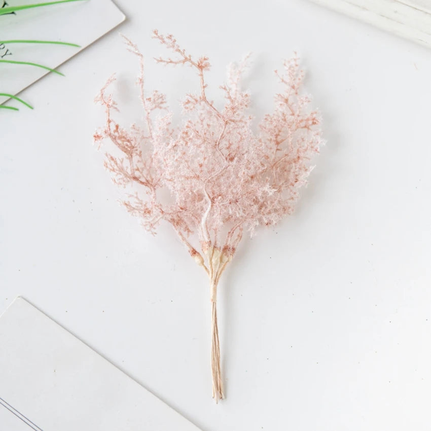 6Pcs Fleurs Séchées