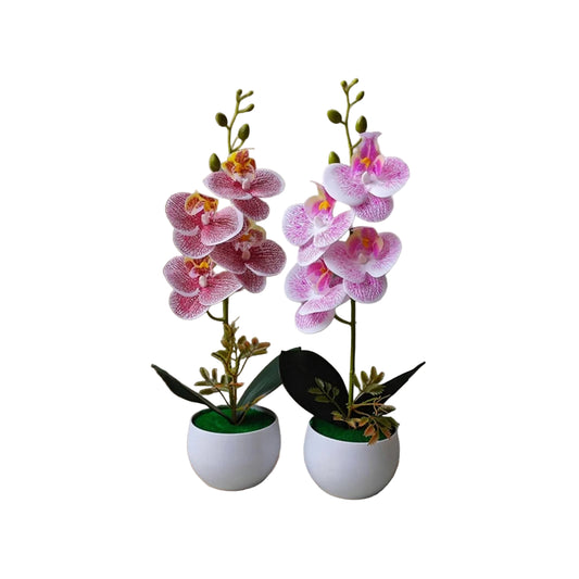 Orchidées Artificielles XXL