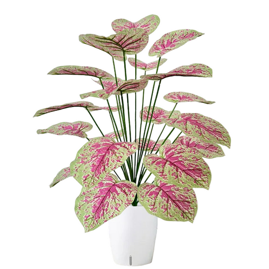 Caladium Artificiel
